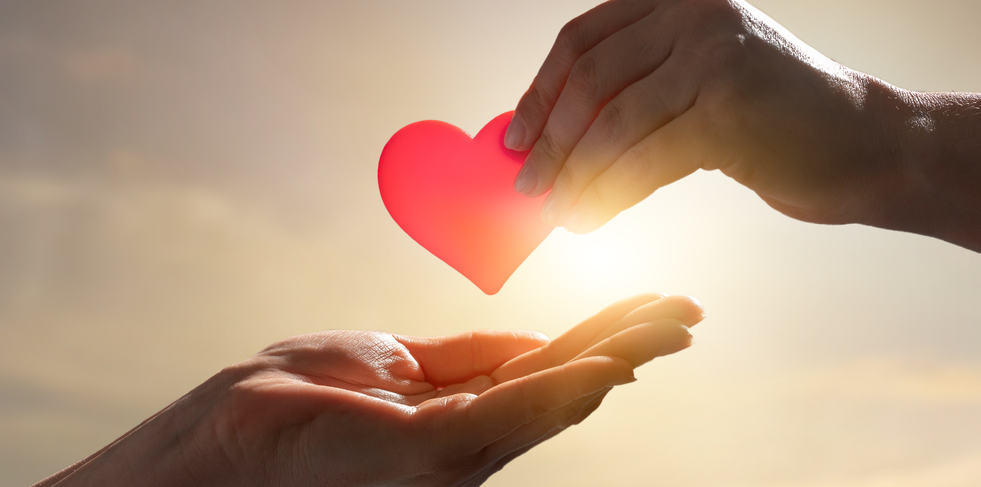 Why We Donate 10%: The Mission Behind FIFTEEN3